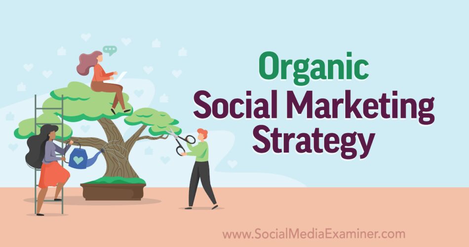 Organic Social Marketing Strategy